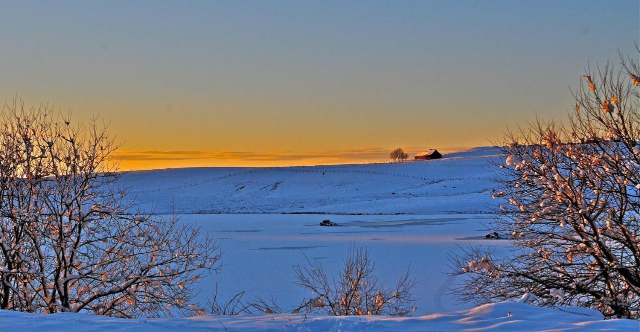 Aux Portes D'Aubrac Studio 2 Personnes Bed & Breakfast Condom-d'Aubrac Dış mekan fotoğraf